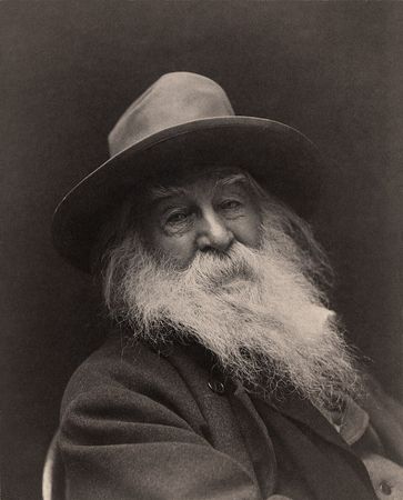 Ritratto di Walt Whitman