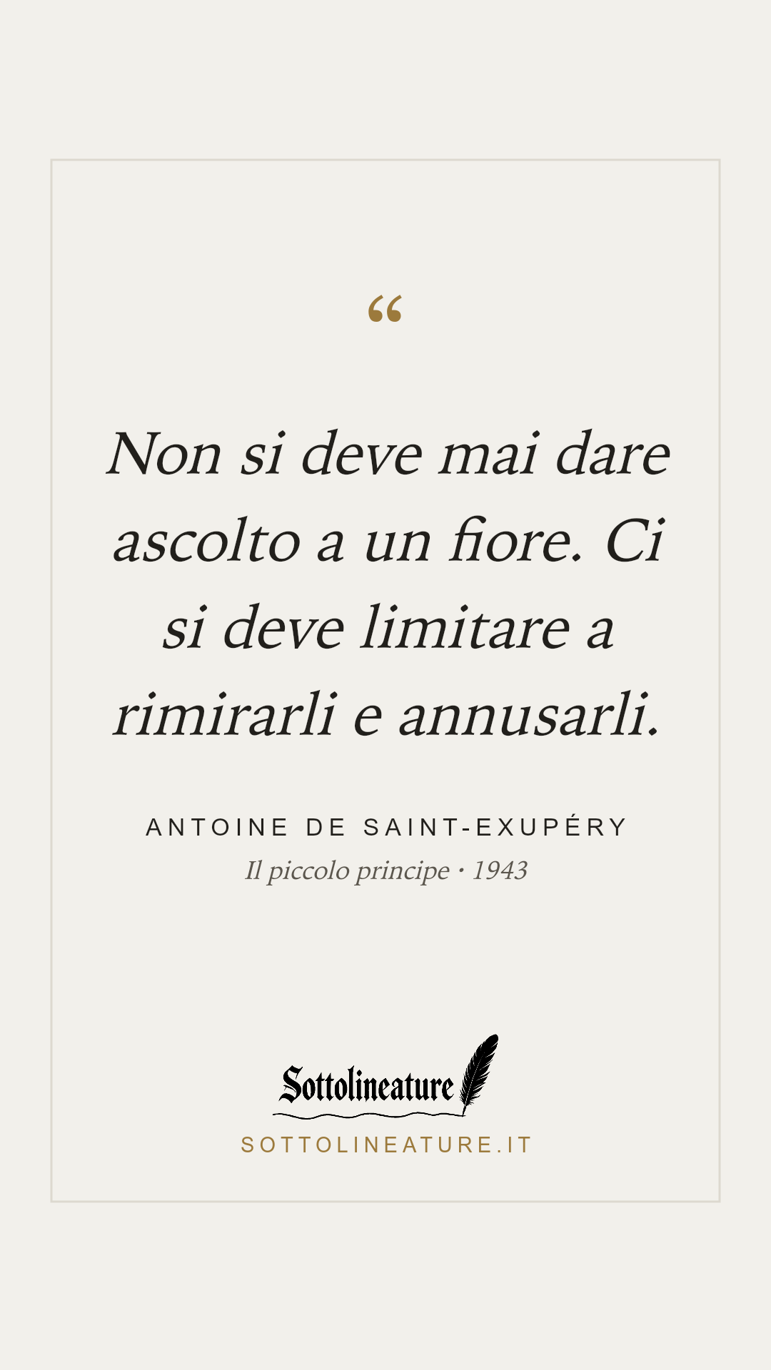 «Non si deve mai dare ascolto a un fiore. Ci si deve limitare a rimirarli e annusarli.» — Antoine de Saint-Exupéry, Il piccolo principe (1943). Grafica Sottolineature, versione chiara.