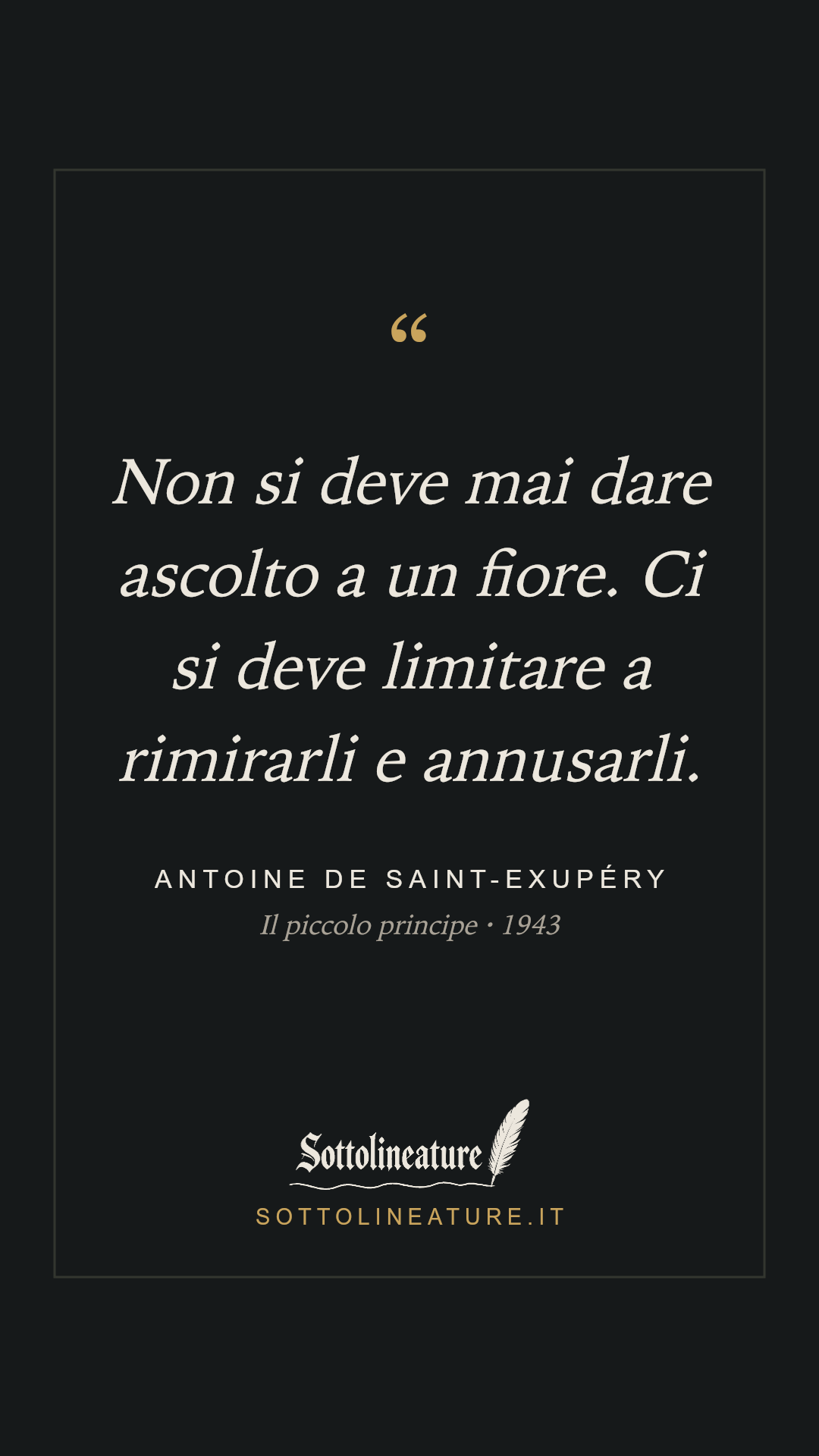 «Non si deve mai dare ascolto a un fiore. Ci si deve limitare a rimirarli e annusarli.» — Antoine de Saint-Exupéry, Il piccolo principe (1943). Grafica Sottolineature, versione scura.