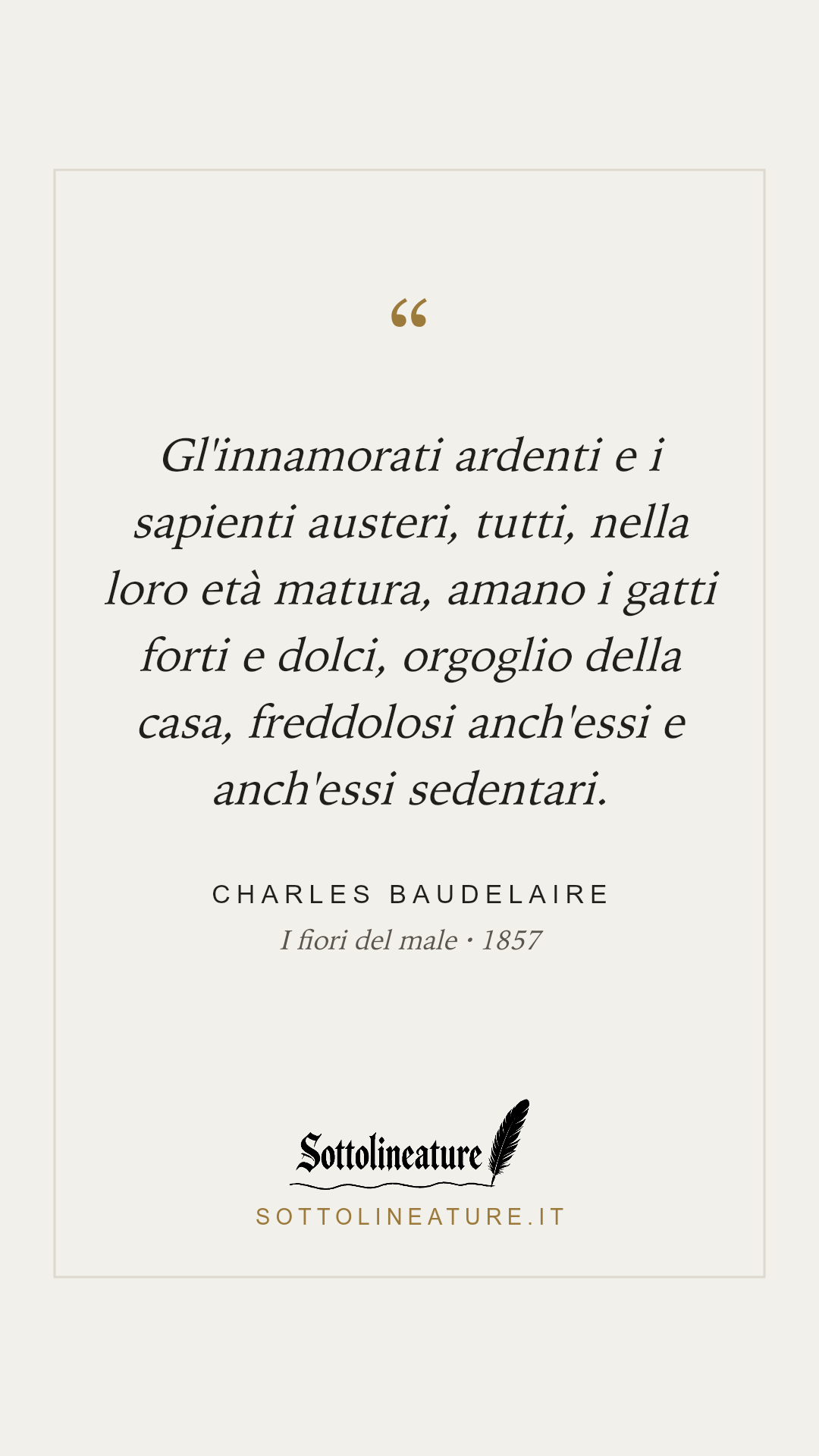 «Gl'innamorati ardenti e i sapienti austeri, tutti, nella loro età matura, amano i gatti forti e dolci, orgoglio della casa, freddolosi anch'essi e anch'essi sedentari.» — Charles Baudelaire, I fiori del male (1857). Grafica Sottolineature, versione chiara.