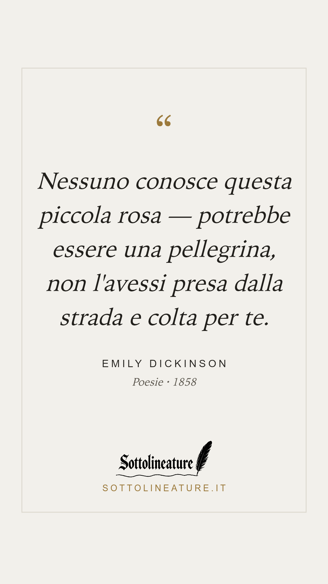 «Nessuno conosce questa piccola rosa — potrebbe essere una pellegrina, non l'avessi presa dalla strada e colta per te.» — Emily Dickinson, Poesie (1858). Grafica Sottolineature, versione chiara.