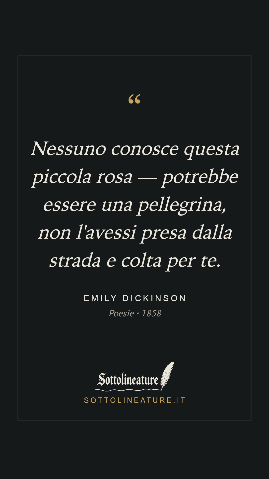 «Nessuno conosce questa piccola rosa — potrebbe essere una pellegrina, non l'avessi presa dalla strada e colta per te.» — Emily Dickinson, Poesie (1858). Grafica Sottolineature, versione scura.