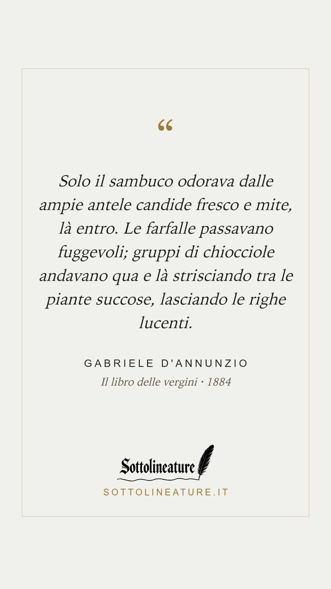 «Solo il sambuco odorava dalle ampie antele candide fresco e mite, là entro. Le farfalle passavano fuggevoli; gruppi di chiocciole andavano qua e là strisciando tra le piante succose, lasciando le righe lucenti.» — Gabriele D'Annunzio, Il libro delle vergini (1884). Grafica Sottolineature, versione chiara.