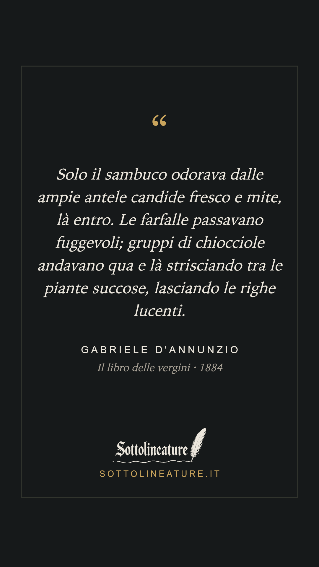 «Solo il sambuco odorava dalle ampie antele candide fresco e mite, là entro. Le farfalle passavano fuggevoli; gruppi di chiocciole andavano qua e là strisciando tra le piante succose, lasciando le righe lucenti.» — Gabriele D'Annunzio, Il libro delle vergini (1884). Grafica Sottolineature, versione scura.