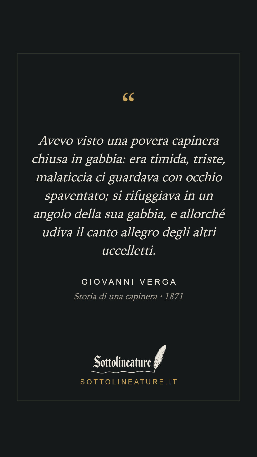 «Avevo visto una povera capinera chiusa in gabbia: era timida, triste, malaticcia ci guardava con occhio spaventato; si rifuggiava in un angolo della sua gabbia, e allorché udiva il canto allegro degli altri uccelletti.» — Giovanni Verga, Storia di una capinera (1871). Grafica Sottolineature, versione scura.