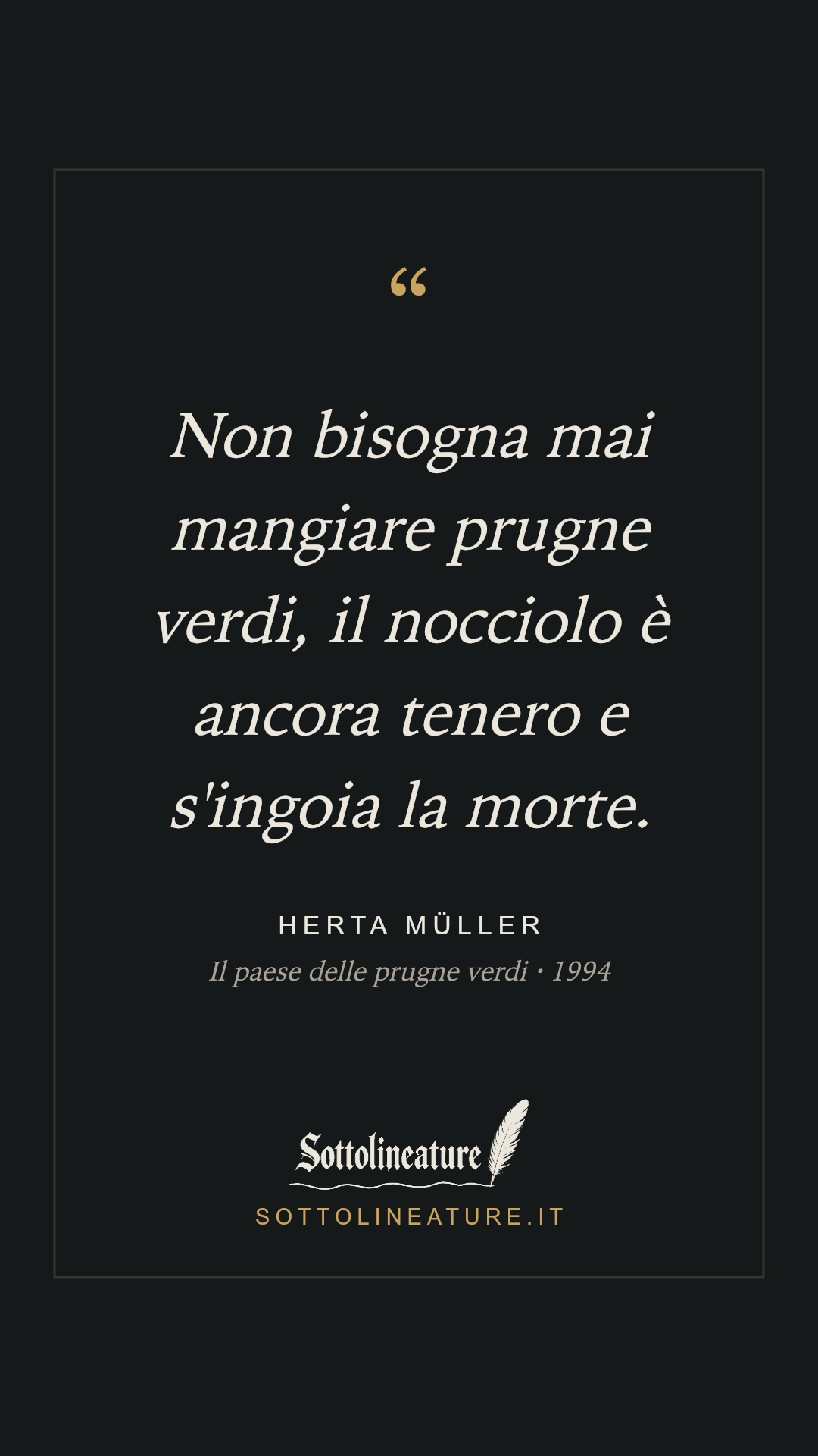 «Non bisogna mai mangiare prugne verdi, il nocciolo è ancora tenero e s'ingoia la morte.» — Herta Müller, Il paese delle prugne verdi (1994). Grafica Sottolineature, versione scura.