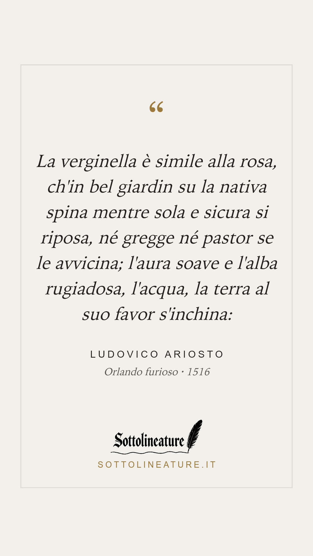 «La verginella è simile alla rosa, ch'in bel giardin su la nativa spina mentre sola e sicura si riposa, né gregge né pastor se le avvicina; l'aura soave e l'alba rugiadosa, l'acqua, la terra al suo favor s'inchina:» — Ludovico Ariosto, Orlando furioso (1516). Grafica Sottolineature, versione chiara.