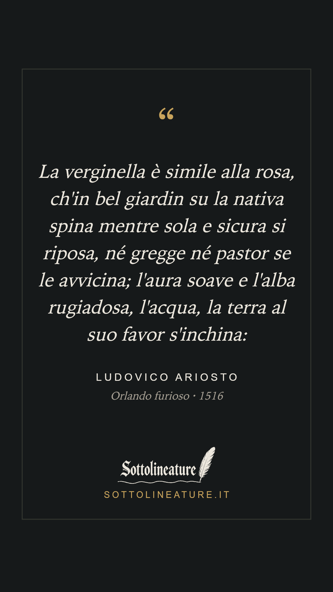 «La verginella è simile alla rosa, ch'in bel giardin su la nativa spina mentre sola e sicura si riposa, né gregge né pastor se le avvicina; l'aura soave e l'alba rugiadosa, l'acqua, la terra al suo favor s'inchina:» — Ludovico Ariosto, Orlando furioso (1516). Grafica Sottolineature, versione scura.