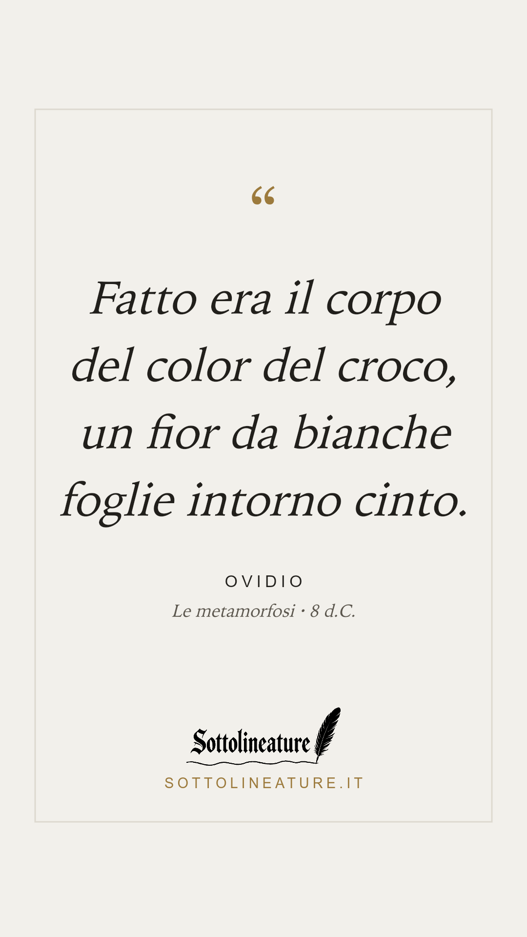«Fatto era il corpo del color del croco, un fior da bianche foglie intorno cinto.» — Ovidio, Le metamorfosi (8 d.C.). Grafica Sottolineature, versione chiara.