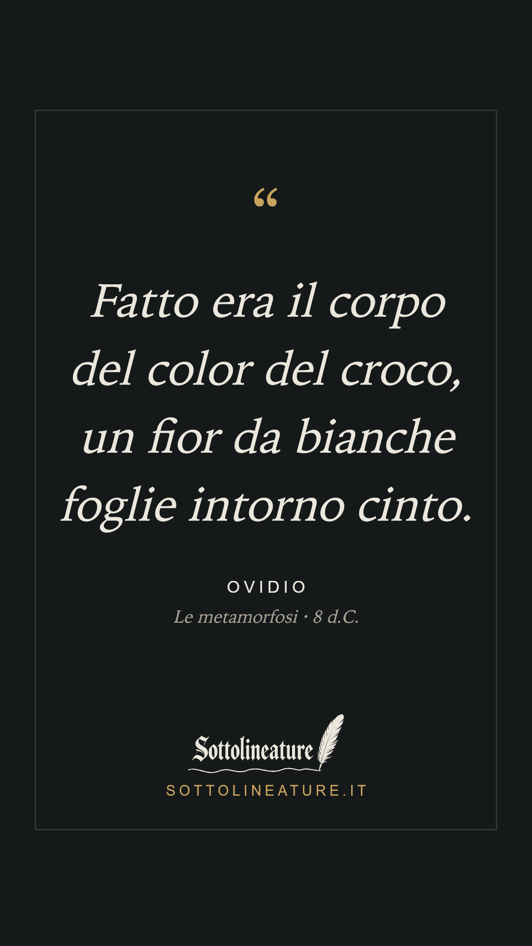 «Fatto era il corpo del color del croco, un fior da bianche foglie intorno cinto.» — Ovidio, Le metamorfosi (8 d.C.). Grafica Sottolineature, versione scura.