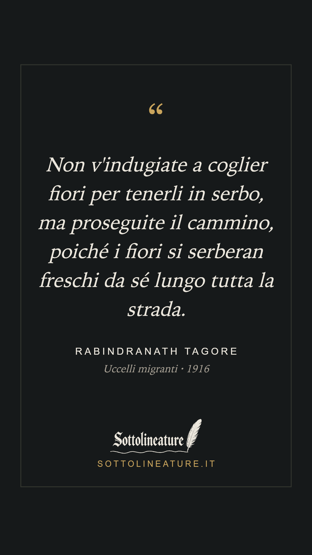 «Non v'indugiate a coglier fiori per tenerli in serbo, ma proseguite il cammino, poiché i fiori si serberan freschi da sé lungo tutta la strada.» — Rabindranath Tagore, Uccelli migranti (1916). Grafica Sottolineature, versione scura.